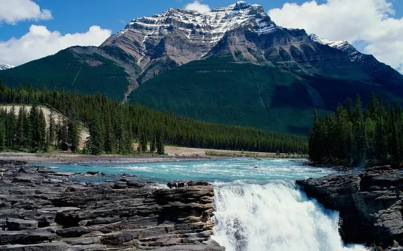 精密自动化